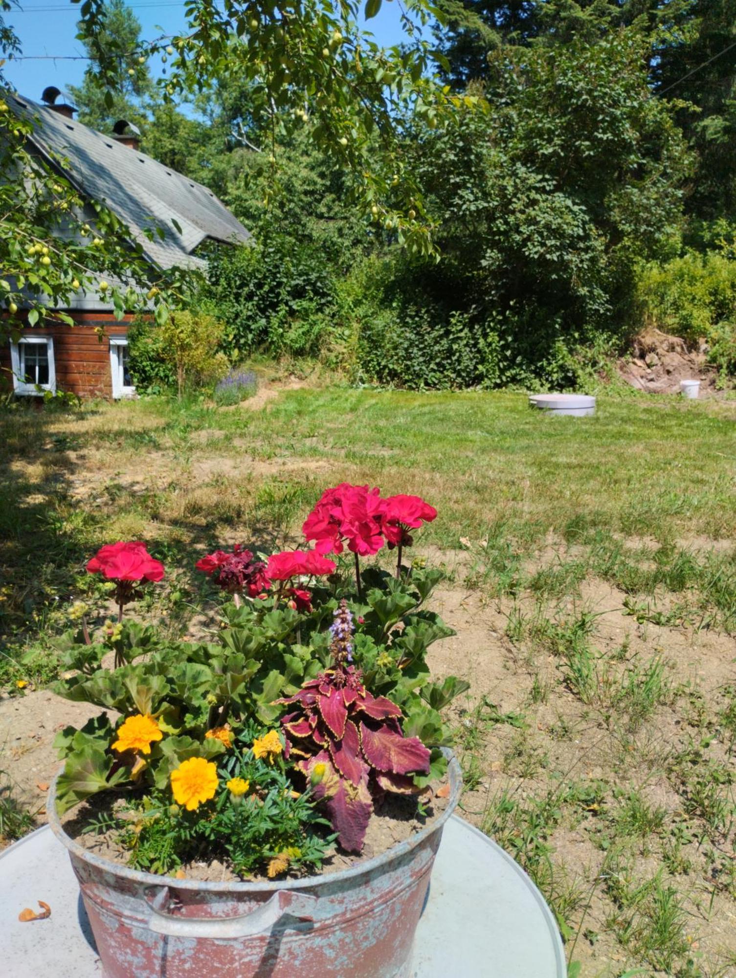 Chalet Domecek Uprostred Prirody *
